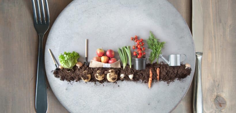 Une assiette de plantation de légumes