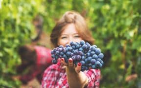Une viticultrice tenant des raisins à la main