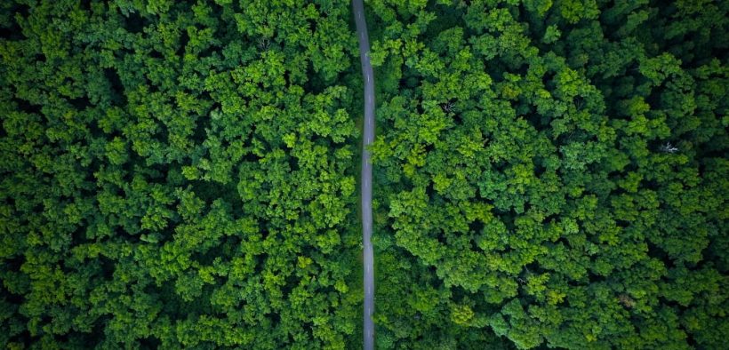 Paysage d'une route au milieu d'une forêt