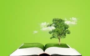 Arbre vert sortant d'un livre