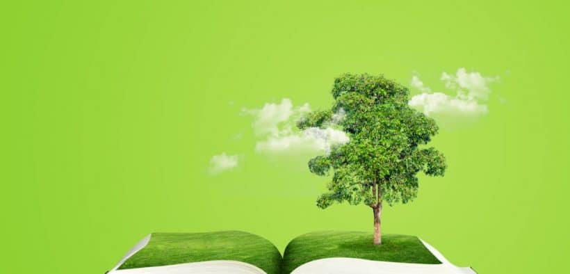 Arbre vert sortant d'un livre