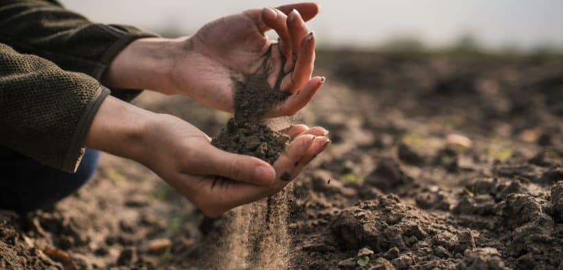 Une personne ramassant de la terre dans ses mains