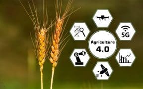 Production agricole utilisant les énergies renouvelables et la technologie numérique