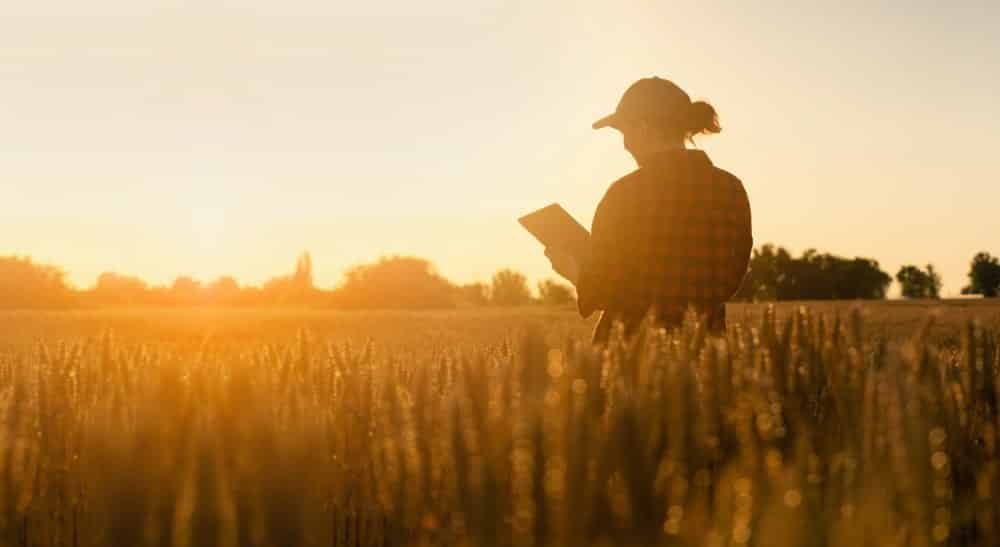 Femme sur une tablette en plein milieu d'un champ