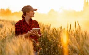 Femme dans un champ avec une tablette à la main