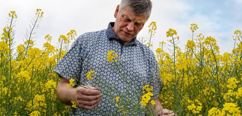 Un homme en plein milieu d'un champ de fleurs