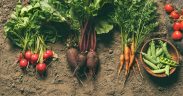 Légumes dans la terre