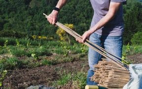 un homme tenant des morceaux de bois