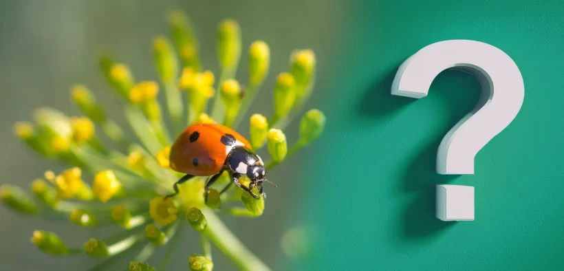 Testez vos connaissances sur le biocontrôle