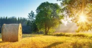 Toujours moins de GES émis en France par l'agriculture