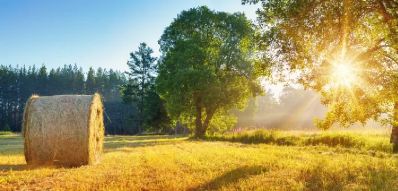 Toujours moins de GES émis en France par l'agriculture