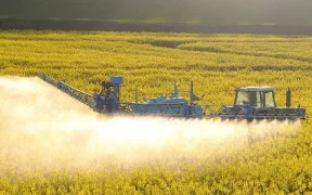 Quels sont les produits phytosanitaires autorisés en biocontrôle ?