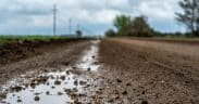 Triste réalité de l'agriculture