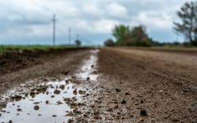 Triste réalité de l'agriculture