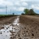 Triste réalité de l'agriculture