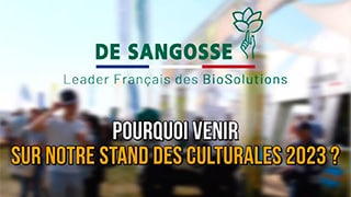 Pourquoi venir aux Culturales ?